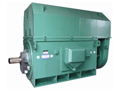 普兰Y系列6KV高压电机
